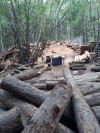 Viện kiểm sát nhân dân huyện Ia Pa: Kiến nghị xử lý vi phạm pháp luật trong công tác quản lý, bảo vệ rừng.