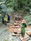 Một số giải pháp nâng cao chất lượng công tác thực hành quyền công tố, kiểm sát điều tra, truy tố, xét xử các vụ án “Vi phạm quy định về khai thác, bảo vệ rừng và lâm sản; Huỷ hoại rừng” tại địa bàn huyện Kbang