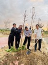 Chi bộ Viện Kiểm sát thị xã An Khê thực hiện lời dạy của Bác: “Mùa xuân là Tết trồng cây”